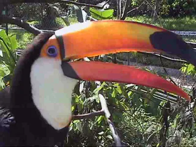 Pelas Mesas do Brasil… 102