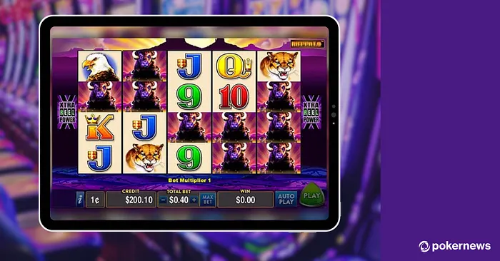 Buffalo Slot Gameplay