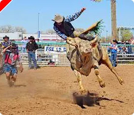 What Bull Will Poker Sites Think of Next? 0001