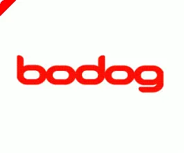 Bodog Foils Legal Ploy in Latest Ruling 0001
