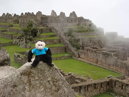 AV8Pounder Vence Promoção PokerStars Monkey 103