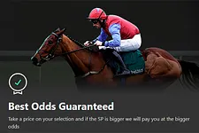 Bet365 Horse Racing