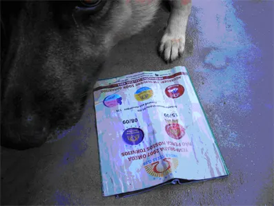 Vou Processar a FLOP 104