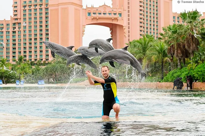 Les meilleures photos du PCA2016 0001