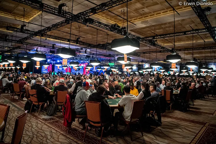 Amazon Room on Day 1d