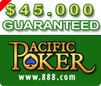 No Limit $45,000 Guaranteed, $30+$3 Buy-in 0001