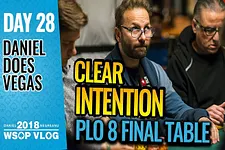 Daniel Negreanu - Vlogs