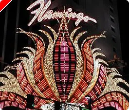 Poker Room Review: Flamingo, Las Vegas 0001