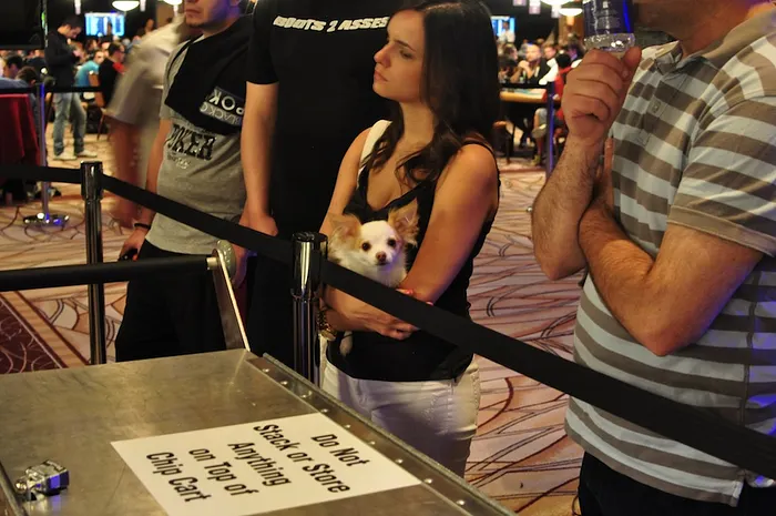 All Mucked Up: 2012 World Series of Poker Day 27 Live Blog 105