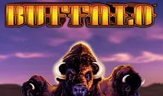 Buffalo Slots