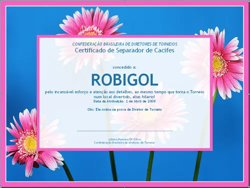 RobiGol – Director de Torneios é só Uma entre 1000 Profissões! 103