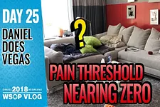 Daniel Negreanu - Vlogs