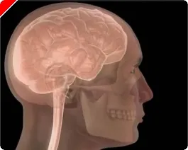 Psicologia do Poker e Desporto Parte IV 0001