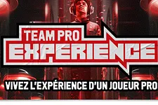 Team Pro Experience