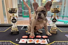 Charity Series of Poker