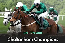 bet365 poker cheltenham champions