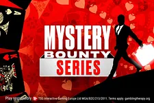 Mystery Bounty Series