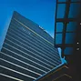 Borgata Branding
