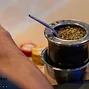 Mate