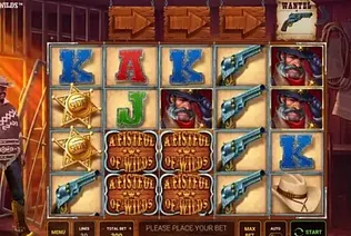 A Fistful of Wilds
