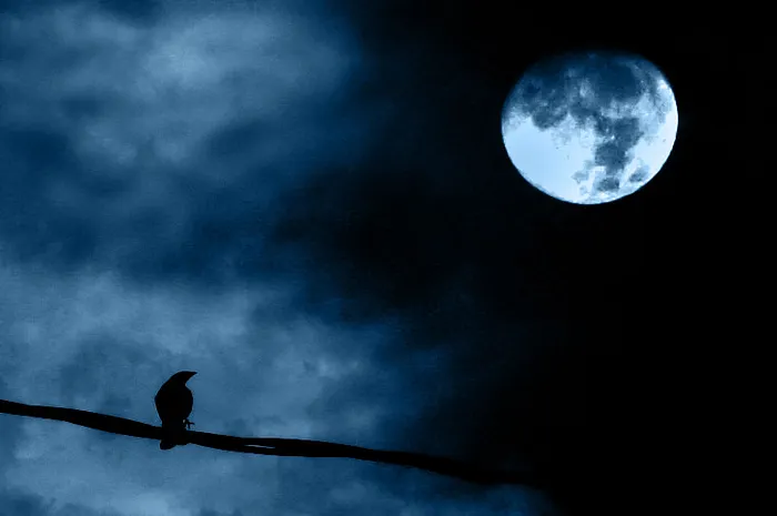 La noche grande del ESCOOP se postpone para hoy 0001