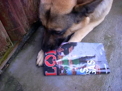 Vou Processar a FLOP 102