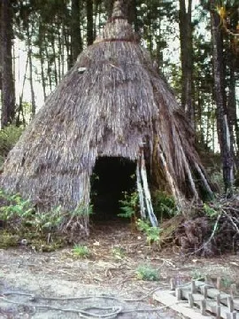 Qfase ....de Cabral a Filpac 105