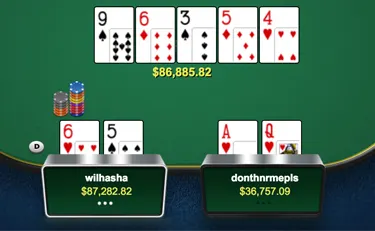 Railbird Report: Dani "Ansky" Stern Quits Poker 102