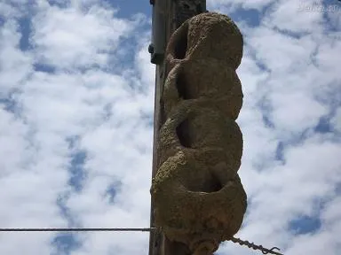 A Bolsa de Valores, Poker e os Vizinhos! 101