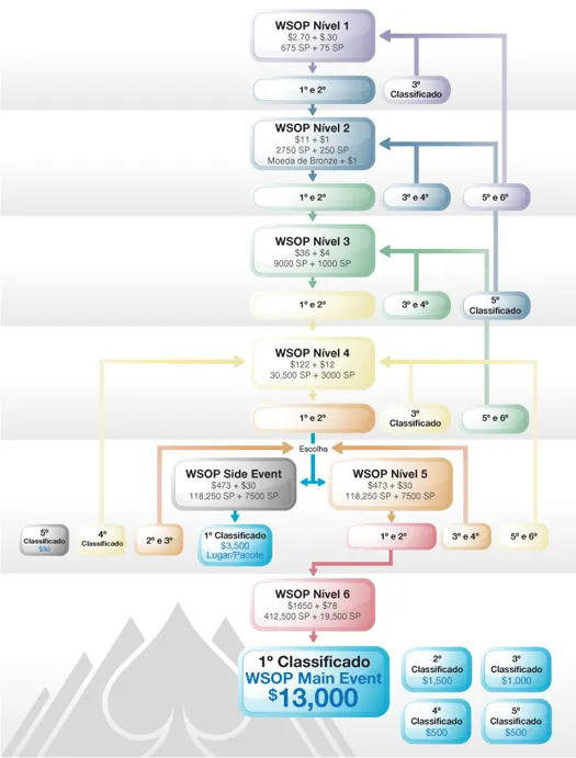 Viva as WSOP 2009 com a Everest Poker! 101