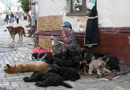 Quebramos?... 10 sinais! 106