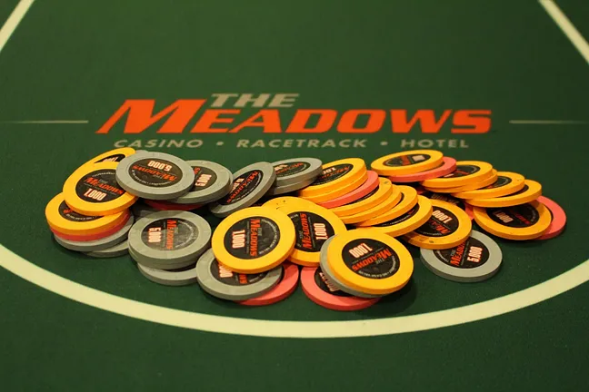 HPT Meadows Chips