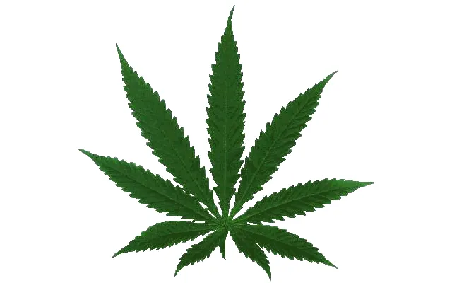 Pokernews Op-Ed: Will Casinos Cater to Pot-Smokers in the Future? 0001