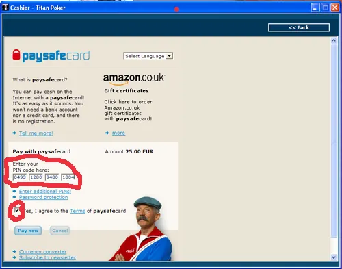 Paysafecard – Método Fácil de Depósito Online 104