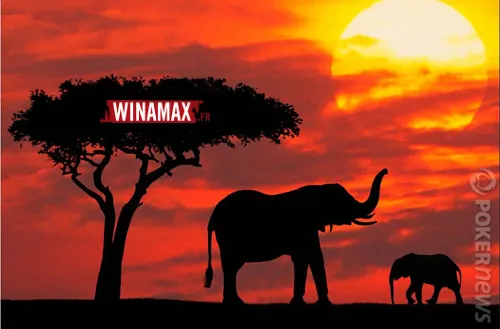 Winamax.fr Sunday Surprise : safari en AfSud !