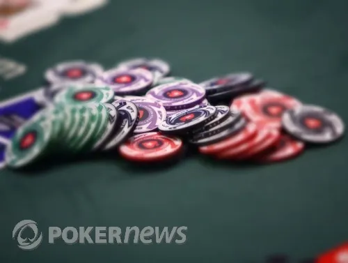 The Sunday Briefing: Lily 