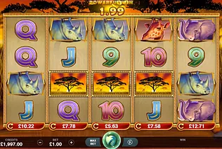 African Quest