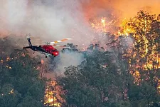 Raising money for Australian bushfires