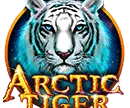 Arctic Tiger