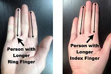 Poker, testostérone et pourquoi la taille, ça compte !