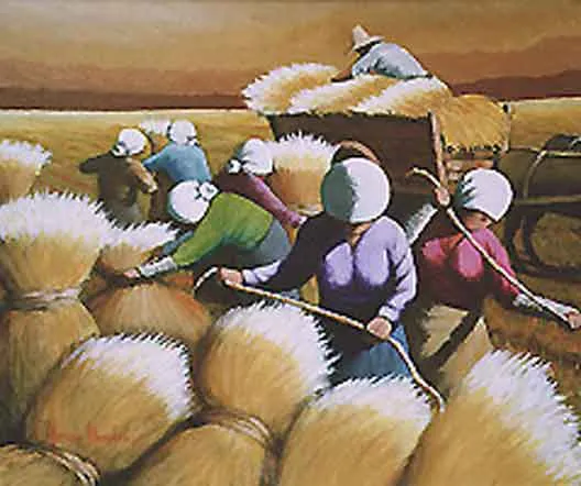 CELEBRANDO A COLHEITA 101