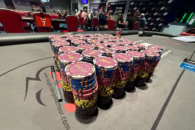 RPT chips