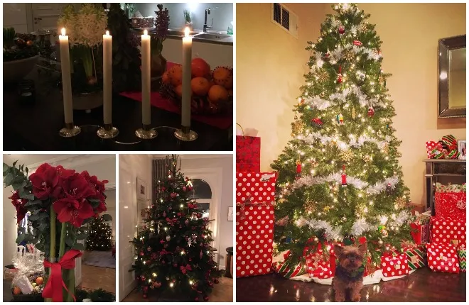 Weekly Turbo Holidays