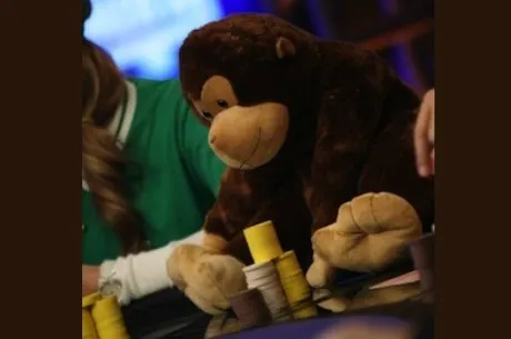 Stratégie Poker : Un lion qui copie un lion devient un singe