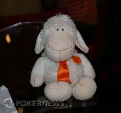 Sheep, la mascota de TK Poker Events