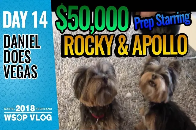 Daniel Negreanu - Vlogs