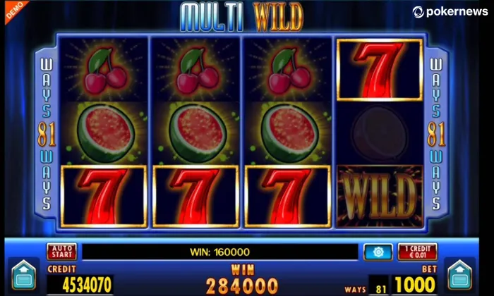 Play Multi Wild Slot