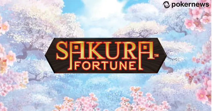 sakura fortune lead