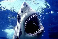 olivierdex altitude 100 everest poker