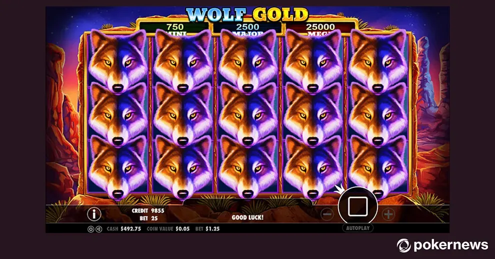 Screenshot of Wolf Gold slot
